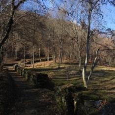 ANTICO MASO DI RAMAZZASO - Strada romana 